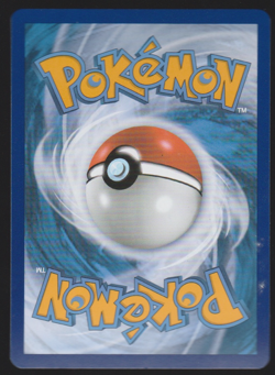 Sprigatito - 013/198 Holo - Scarlet & Violet Baset Set - NM Pokemon Card - Image 2