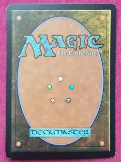 Magic The Gathering DISSENSION MOMIR VIG SIMIC VISIONARY blue/green card MTG - Image 2