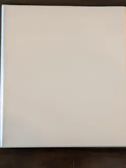 Pokemon Chilling Reign Complete Basic Set Regular and Reverse 1-159 = 295 Cards - Image 1