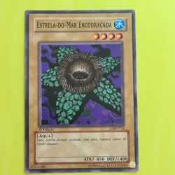Armored Starfish | YuGiOh | LOB | Common | 1st Edition | PORTUGUESE | NM #19 - Image 1