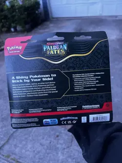 Pokemon TCG Paldean Fates Greavard Tech Sticker Collection - English Sealed - Image 3