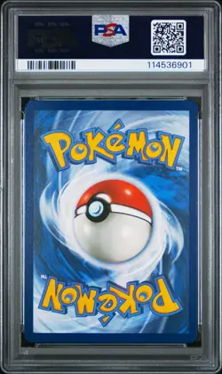 Pokemon Squirtle 148/142 Stellar Crown PSA 10 - Image 2