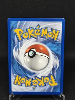 Tepig - 13/25 - Holo - 2021 McDonald's 25th Anniversary Promo Pokemon Card - Image 2