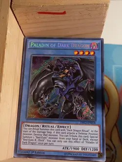 Paladin of Dark Dragon DRL2-EN018 Dragons of Legend 2 1st Edition - Image 1