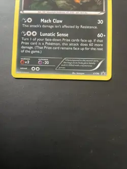 Umbreon XY96 Pokemon TCG XY: Black Star Promo LP - Image 2
