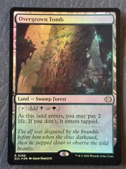 overgrown tomb - Image 1
