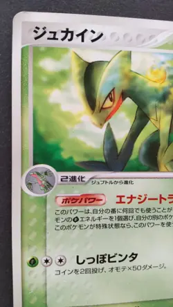 Sceptile Pokemon Card Japanese Nintendo Game Rare 119/PCG-P McDonald’s Promo F/S - Image 2
