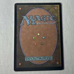 Fighter Class - Adventures in the Forgotten Realms (AFR) Magic The Gathering MTG - Image 2