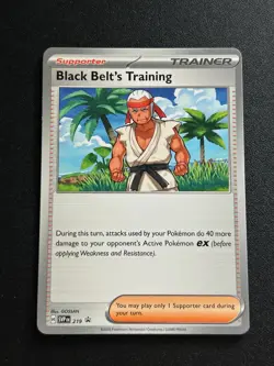Black Belt's Training - 219 Normal Promo SV: Scarlet & Violet Promo Cards NM - Image 1