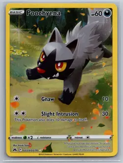 Pokemon Poochyena GG33/GG70 Holo Crown Zenith Galarian Gallery Holo NM - Image 1