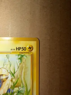 Mareep #18 Intro Pack Neo Totodile Half Deck 2001 Pokemon Japanese - LP - Image 3