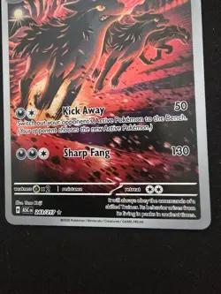 Pokemon TCG Mightyena 243/217 Ascended Heroes Illustration Rare - NM - Image 3