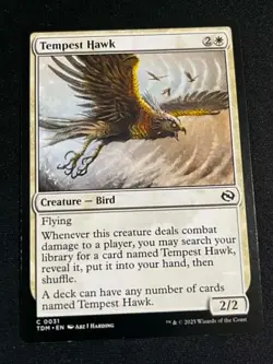Tempest Hawk Tarkir: Dragonstorm Regular MTG TDM Magic the Gathering - Image 1