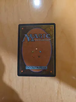 Time Warp Tempest Regular - Image 2