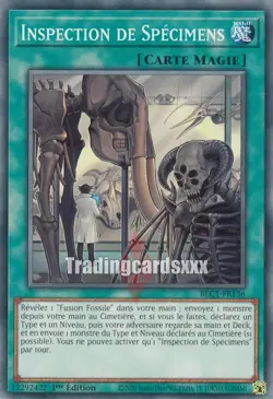 Yu-Gi-Oh! Inspection de Specimens : C BLC1-FR136 - Image 1