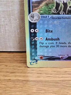Mightyena 42/109 Ruby and Sapphire Reverse Holo Pokemon Card TCG - Image 5