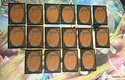 Foil Magic Final Fantasy Basic Lands Complete Set of 15 - Full Art Land + Wastes - Image 2