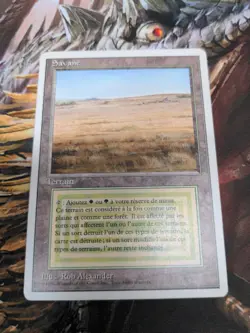FWB French Savannah FORIEGN MTG Revised Magic the Gathering! - Image 1