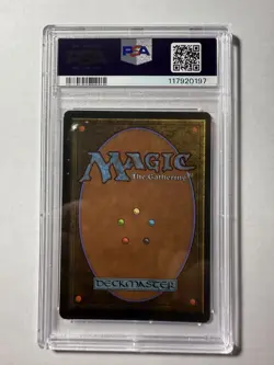 Dust to Dust The Dark 1994 MTG PSA 8 NM-MT Near Mint to MINT Vintage - Image 3