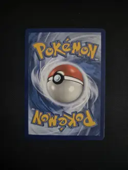 Charizard & Braixen GX SM230 Holo Pokemon Card Black Star - Image 3