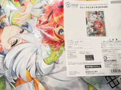 Gundam Card Game Suletta and Miorine Evx02 Card EX Resource Card + Playmat New - Image 2