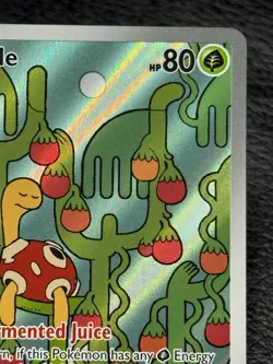 Shuckle 136/132 - Holo Illustration Rare - Pokemon TCG: Mega Evolution - NM/M - Image 3