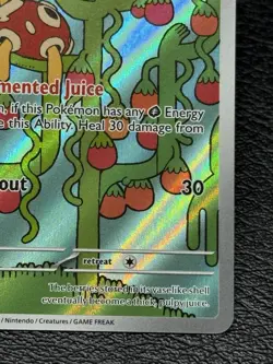 Shuckle 136/132 - Holo Illustration Rare - Pokemon TCG: Mega Evolution - NM/M - Image 4