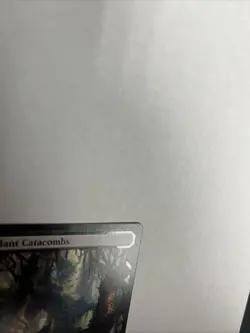 Verdant Catacombs Zendikar Rising Expeditions Nonfoil Card #008 MTG LP - Image 3