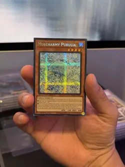 2025 YU-GI-OH! MULCHARMY PURULIA MP25-EN085 1ST EDITION PRISMATIC SECRET RARE - Image 3