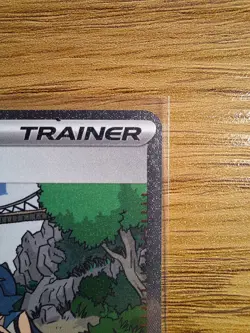 Lana's Aid - 219/167 - SIR - Twilight Masquerade - Pokemon Card - NM/M - Image 2