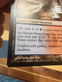 Magic the Gathering MTG - Steam Vents 247/274 2012 - Image 5