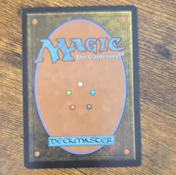 Magic: The Gathering T'Challa's Protection Mythic Regular Eng 0051 Marvel - Image 2