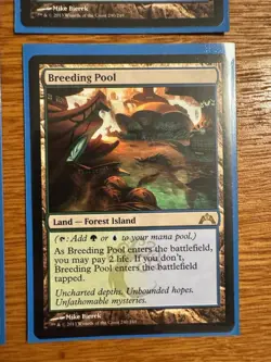 MTG Breeding Pool X4 Gatecrash NM Magic The Gathering - Image 4