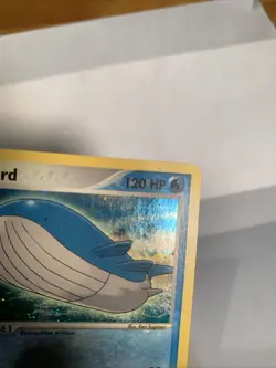 Pokemon TCG Wailord EX Sandstorm Holo Rare Card 14/109 - Image 5
