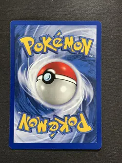 1st Edition Base Set Shadowless - 19 Cards - Private Lot - Image 4