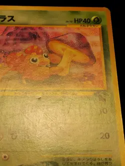 Paras #22 Neo 2001 Intro Pack Japanese Card Chikorita Deck No. 046 MP - Image 4