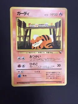3 Pokemon x NY - Image 1