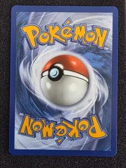 Pokemon TCG Litten 044 First Partner Illustration Black Star Promo - Image 2