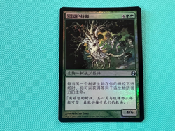 Foil - Orchard Warren - Chinese - Morningtide - MTG - Magic the Gathering - Foil - Image 2