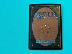 Foil - Orchard Warren - Chinese - Morningtide - MTG - Magic the Gathering - Foil - Image 3