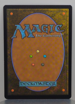 Foil Golden Argosy - DMU - 230/281 - Dominaria United - Image 2