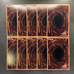 NM 10 card Dark Paladin QCLP-JP021 Secret Rare YuGiOh 1000 - Image 2