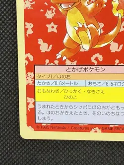 Pokemon Card Japanese Charmander 004 Top sun Topsun 1995 Nintendo Green Back - Image 5