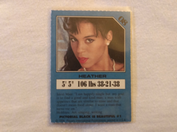 HEATHER HUNTER 1994 PLAYERS INTERNATIONAL PUBLICATIONS PGP94 TRADING CARD - Image 1