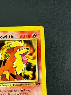 Blaine's Growlithe 62/132 - Gym Challenge Vintage Pokemon TCG Card LP - Image 4