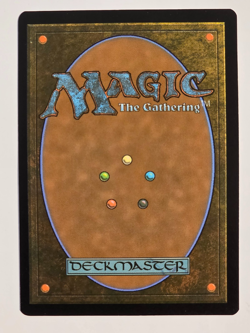 Godless Shrine R0280 Regular (Borderless) Edge of Eternities Magic the Gathering - Image 2