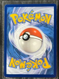 Pansear 021/142 Reverse Holo Common - Stellar Crown Pokemon TCG - Near Mint NM - Image 2