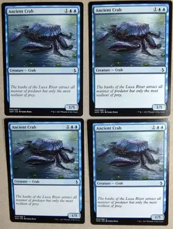 Ancient Crab (x4) Playset - Amonkhet (AKH) - Common Regular - NM - MTG - Image 1