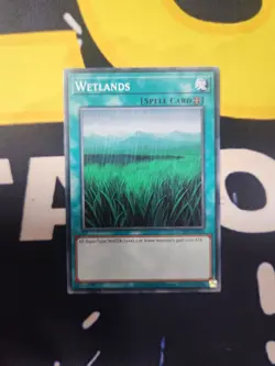 Wetlands LODT-EN054 Light of Destruction 2020 Date Reprint NM Yugioh - Image 1