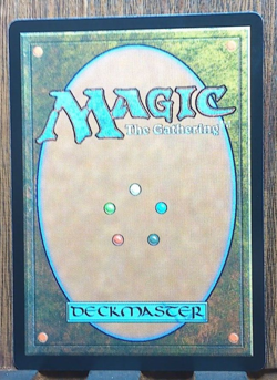 Thornvault Forager (Borderless) Bloomburrow BLB - Rare - MTG Magic - Pack fresh - Image 2